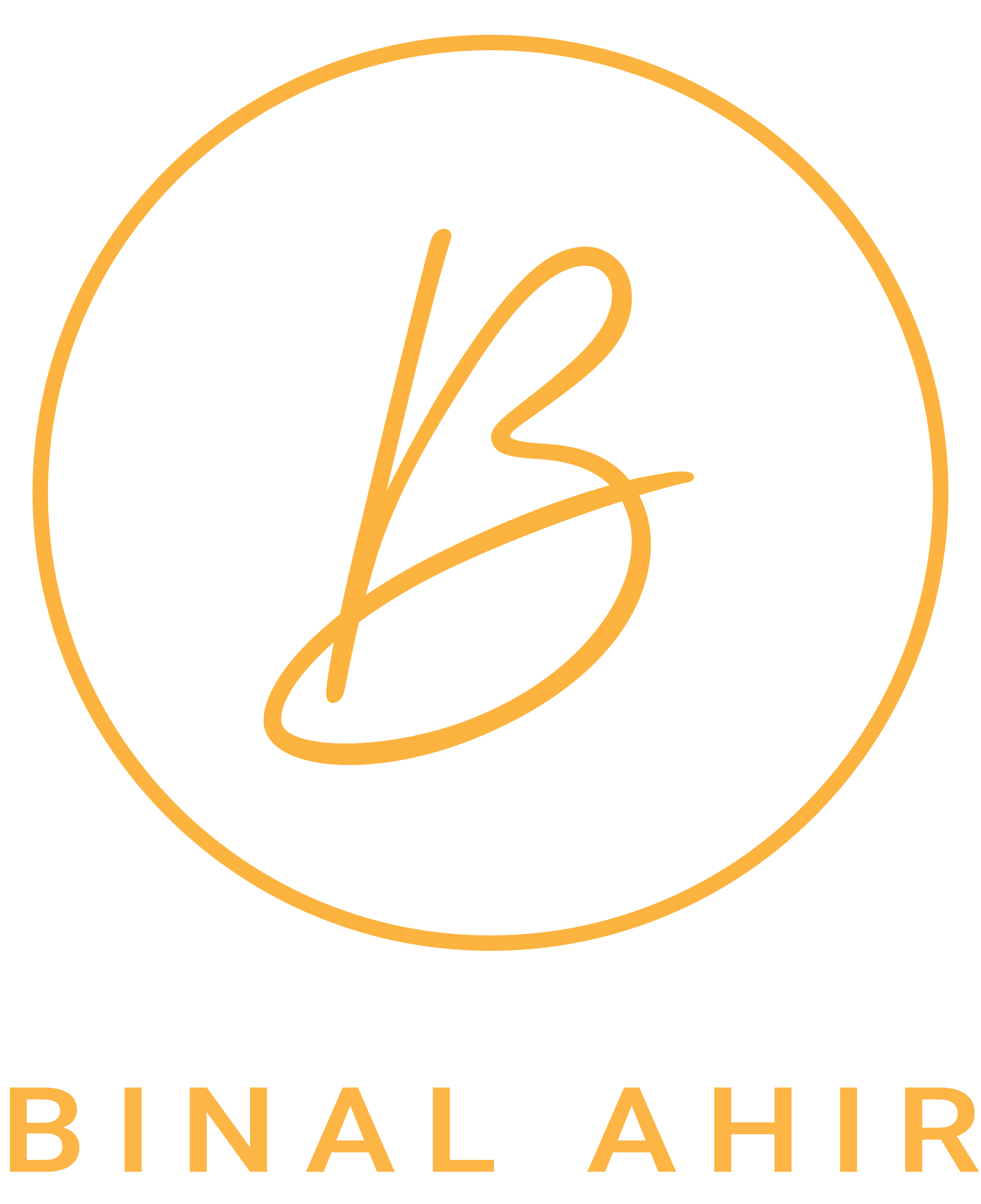 Binal Ahir logo